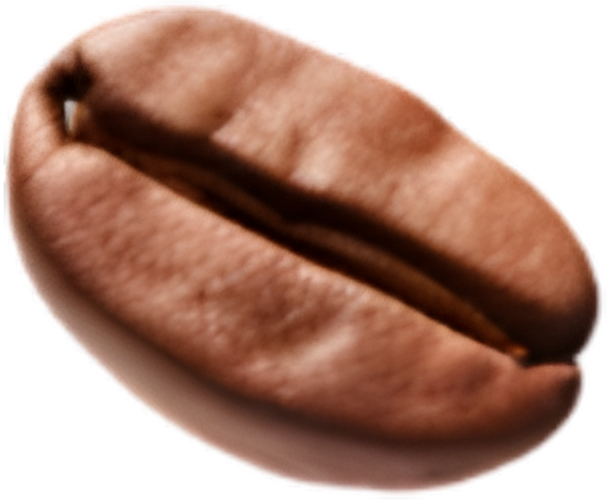 Coffee Bean