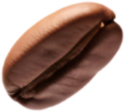 Coffee Bean