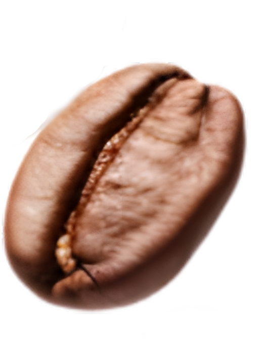 Coffee Bean