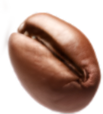 Coffee Bean